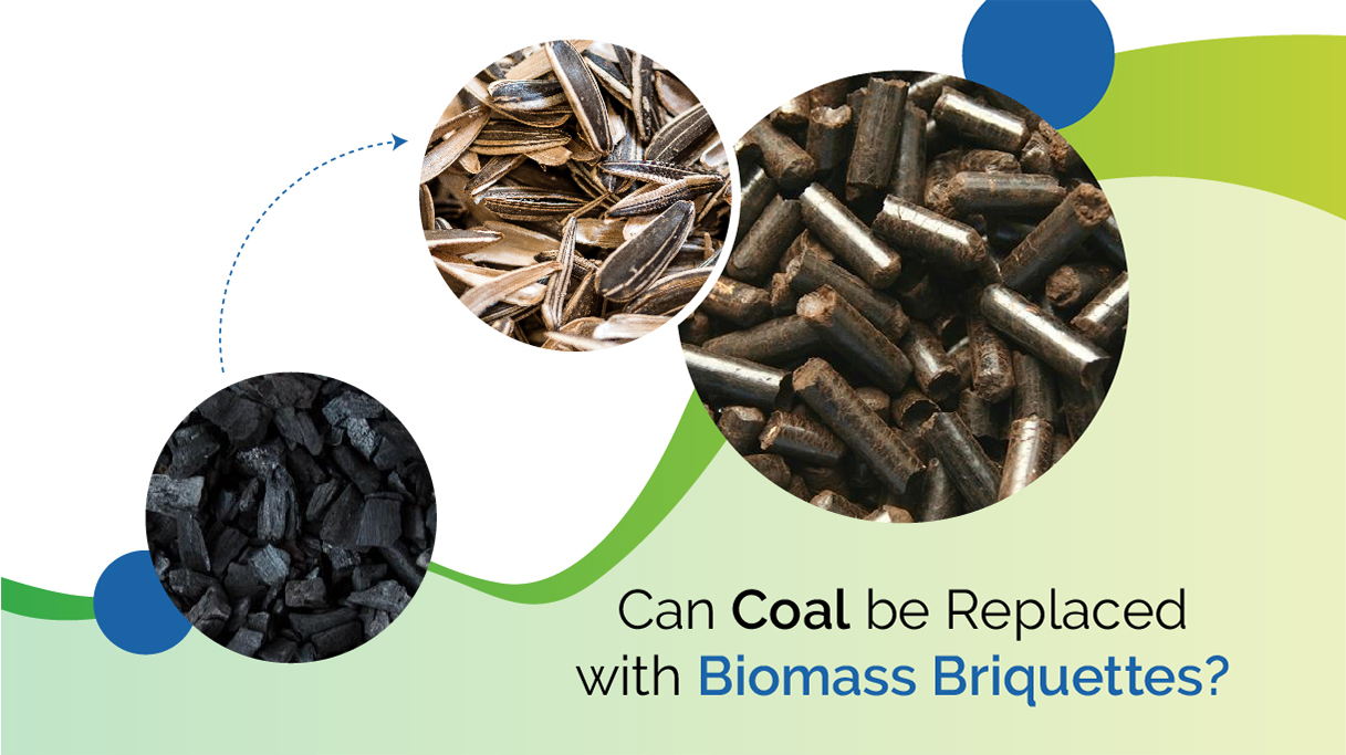 Can Coal be Replaced with Biomass Briquettes?