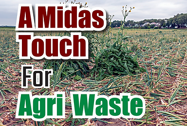 A Midas Touch For  Agri Waste