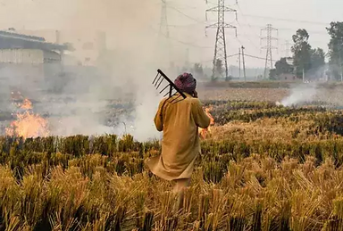Crop stubble to light up homes? India plans to cut fuel import, fight smog