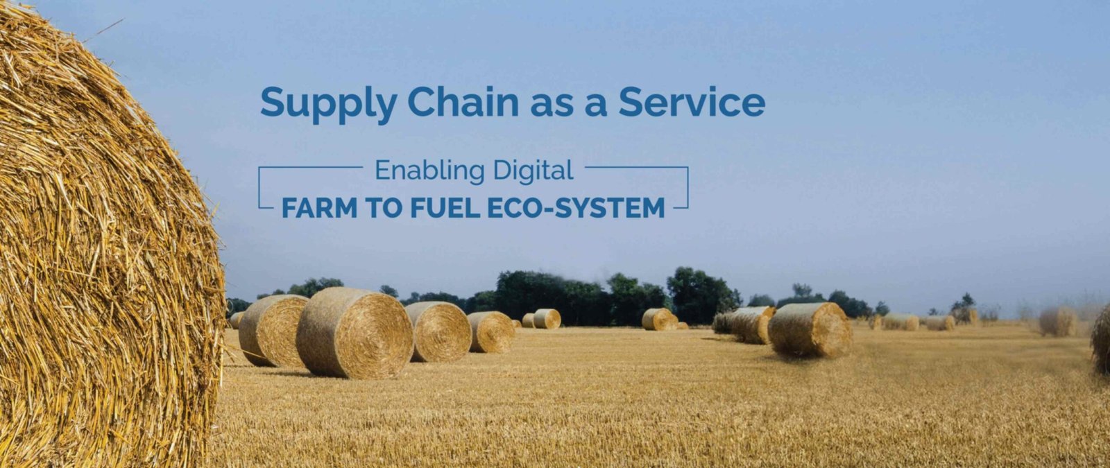 Redefining Biofuel Supply Chain
