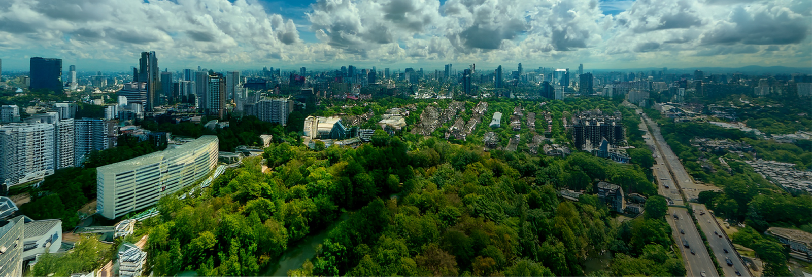 Balancing Green Intent with Cost Discipline in Biomass Sourcing